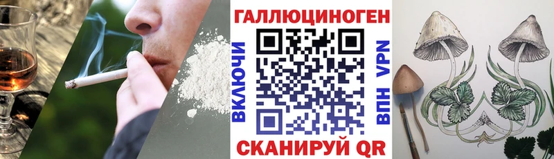 сколько стоит  Павловская  Псилоцибиновые грибы Magic Shrooms 
